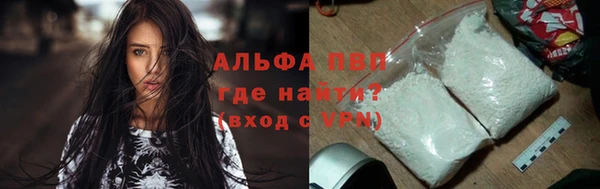 дживик Вязьма