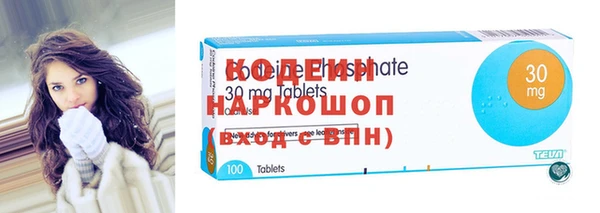 дживик Вязьма