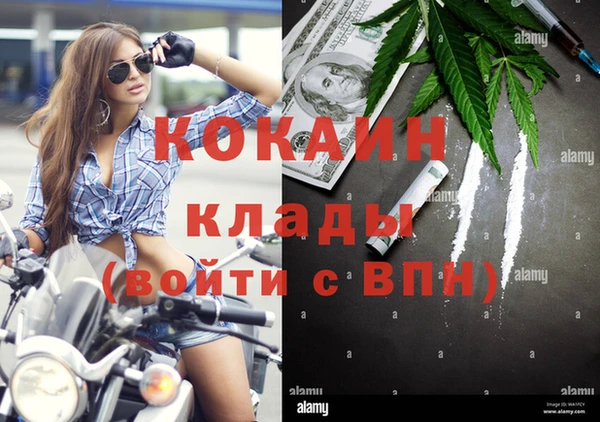дживик Вязьма