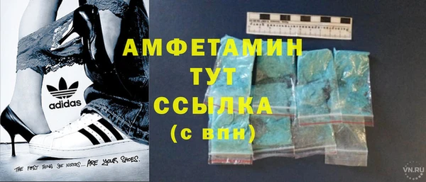 дживик Вязьма