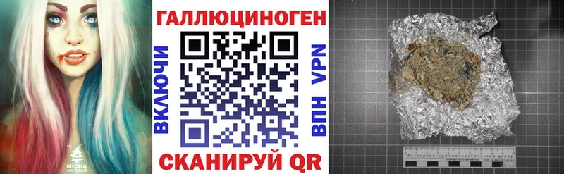 закладки  Гусиноозёрск  Псилоцибиновые грибы Magic Shrooms 